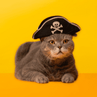 Cute Ways To Celebrate Meow Like A Pirate Day
