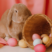 Brown rabbit beside a brown basket with colorful eggs