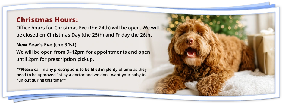 Holiday hours notice: Open Christmas Eve, closed Christmas Day and Friday the 26th, Open 9-12pm on New Year's Eve and open until 2pm for refill pickup