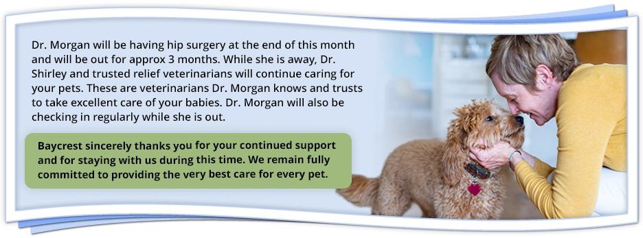 Notice that Dr. Morgan will be out for surgery for approximately three months and that trusted veterinarians will continue caring for patients